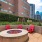 red chairs in a pool